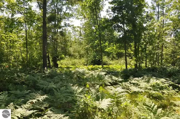 Houghton Lake, MI 48629,000 Tower Hill Road