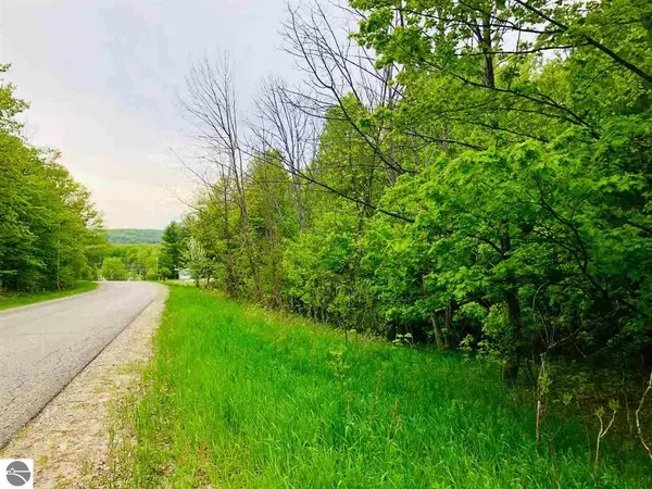 Ritt Road Lot 6 & 7 Waterscape Hills, Bellaire, MI 49615