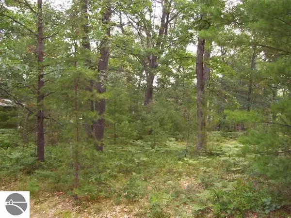 Houghton Lake, MI 48629,XXX Home Acres Drive