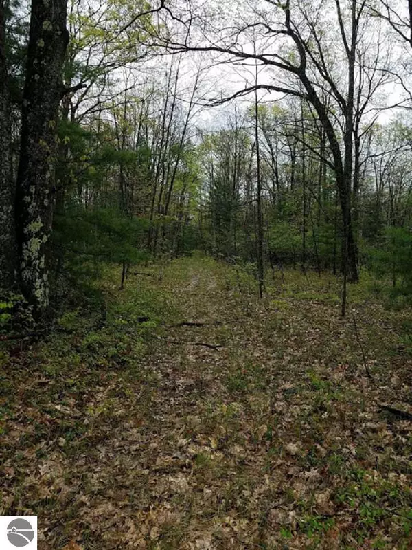 Beulah, MI 49617,768 Cinder Lot 20