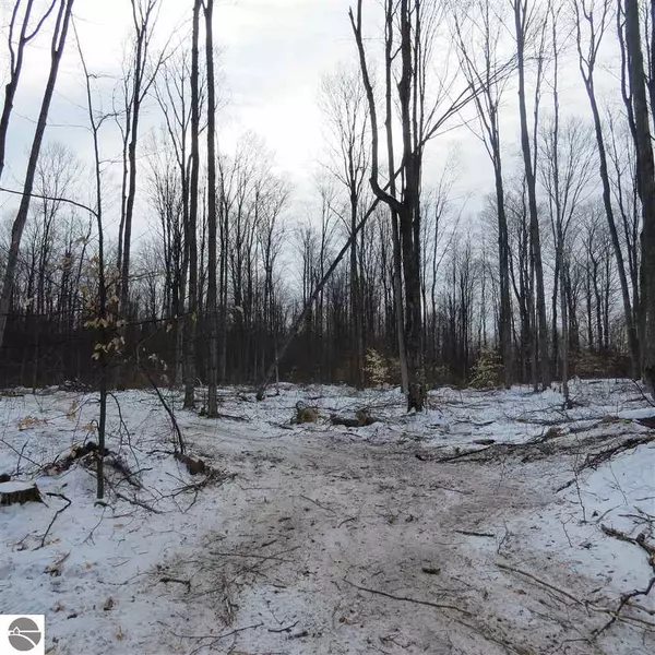 Thompsonville, MI 49683,10955 Ramsay Road