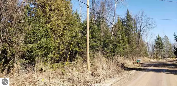 D-2 Birch Pointe Drive, Kewadin, MI 49648