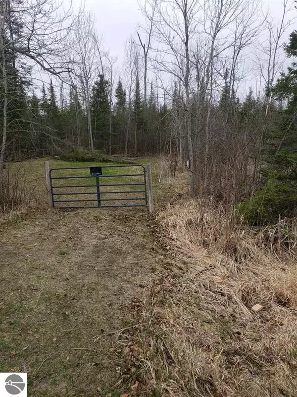 3397 N Markey Road, Houghton Lake, MI 48629