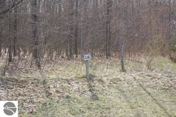 Maple City, MI 49664,16 W Harbour Ridge