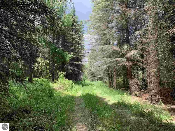 Tustin, MI 49688,17593 22 Mile Road