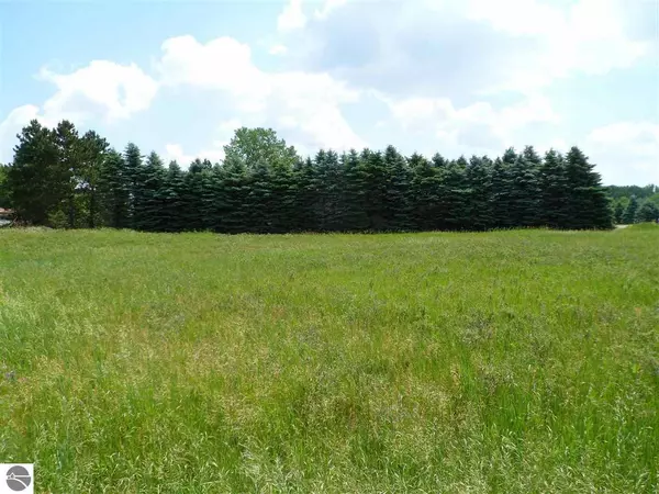 1253 Queensway Drive, Lake Isabella, MI 48893