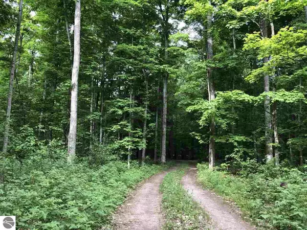 Honor, MI 49640,7790 Way Road