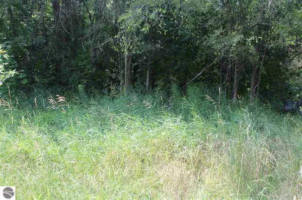 Pineview Drive, Elmira, MI 49730