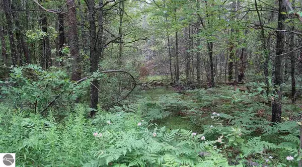 Glennie, MI 48737,000 Timber Lane