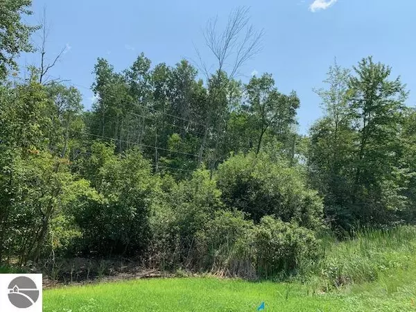 Au Gres, MI 48703,-0- S Huron