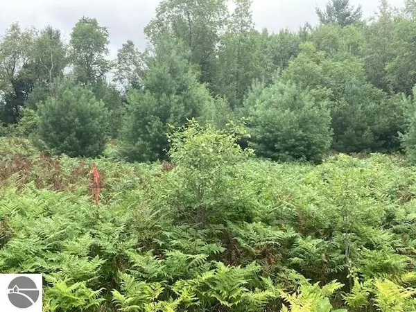 Alba, MI 49730,Arthur Lane