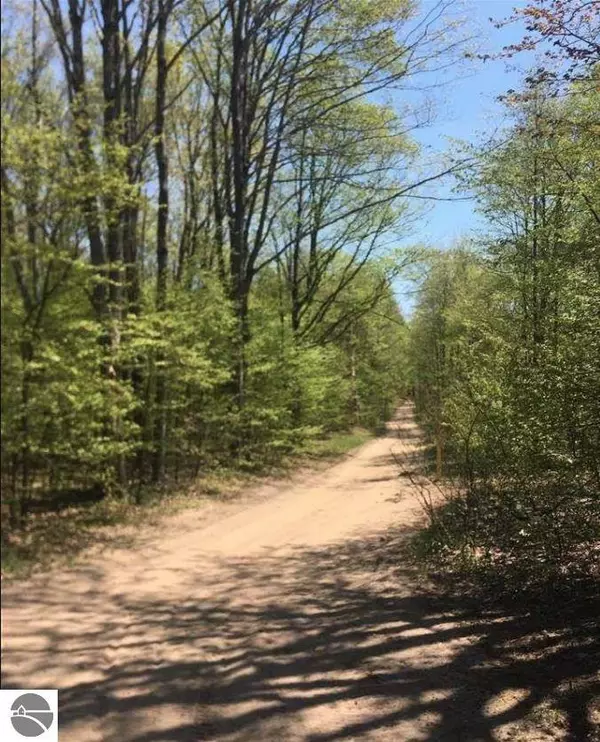 Blackberry Lane, Elmira, MI 49720