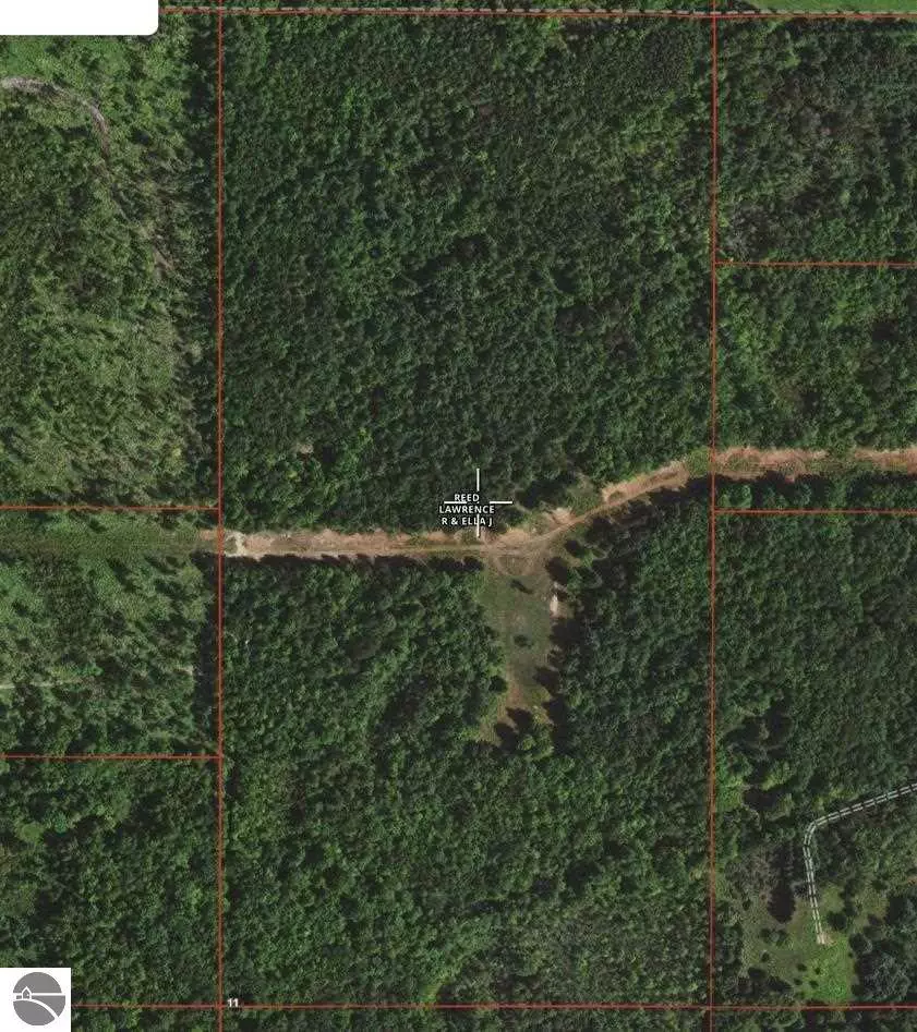 Alger, MI 48610,00 Seder Road