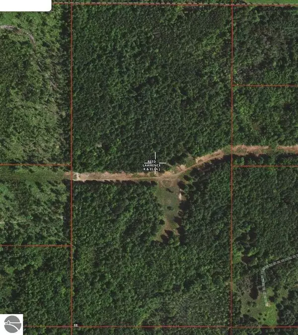 00 Seder Road, Alger, MI 48610