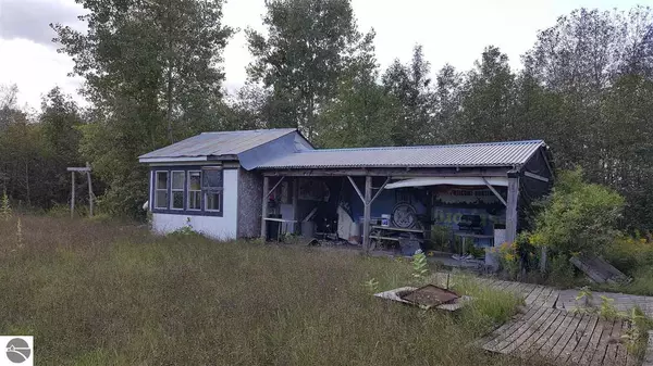 0 Turtle Road, National City, MI 48748