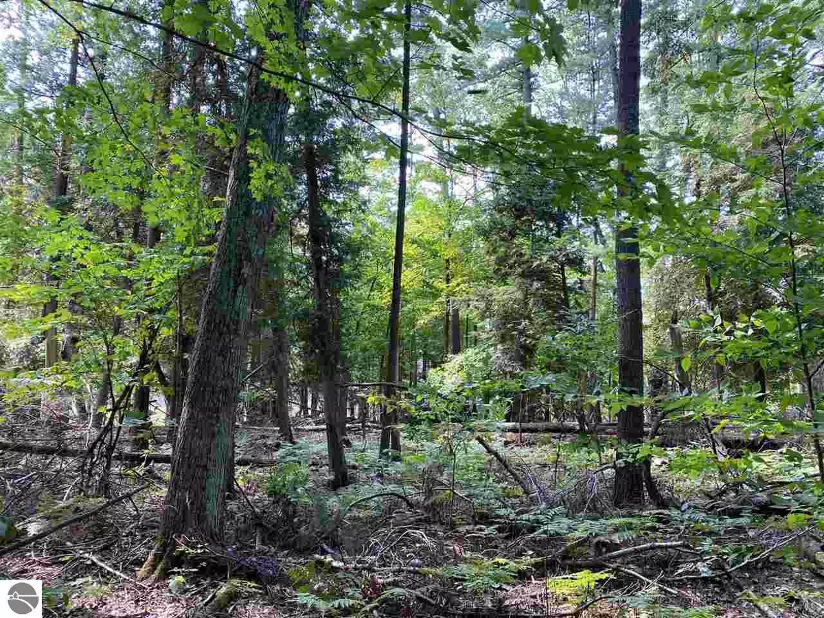 Maple City, MI 49664,Lot 9 S Micheals Woods Trail