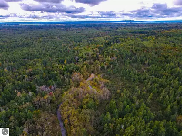 Brimley, MI 49715,00 SW Mills Road Forrest Side Road