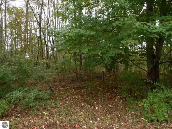 Lake Isabella, MI 48893,1024 Granada Drive