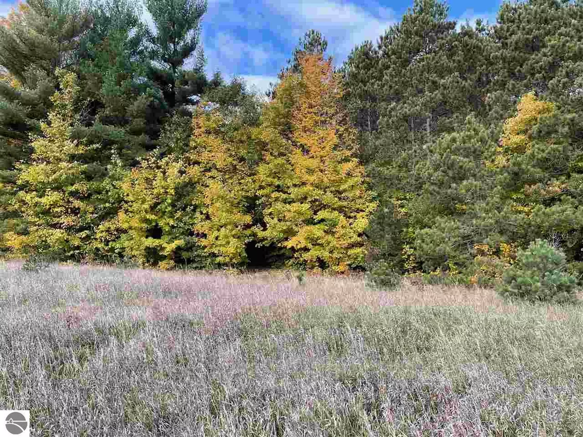 Kaleva, MI 49645,00 Adamson Lake Road