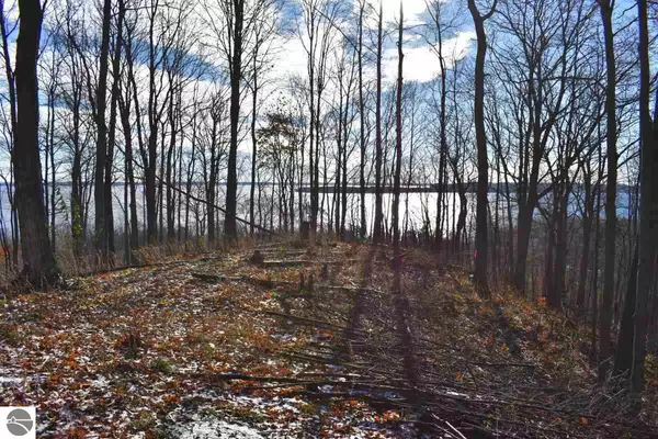 Suttons Bay, MI 49682,11615 E Belanger Woods Drive