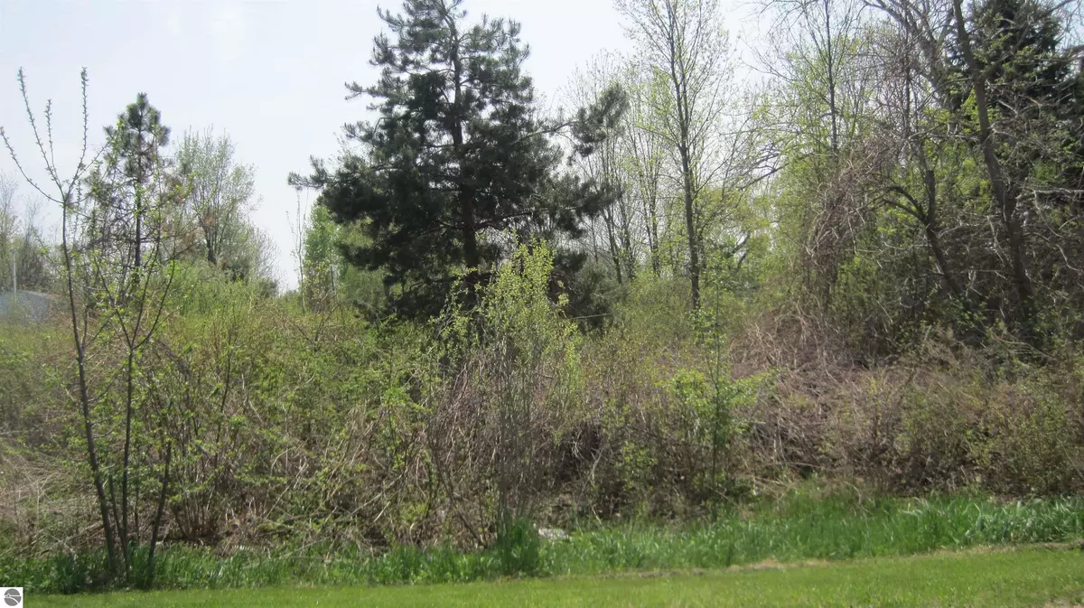 Mt Pleasant, MI 48858,TBD Lot 49 Leona Drive LOT 49