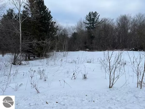 301 Merritt Street, Merritt, MI 49667