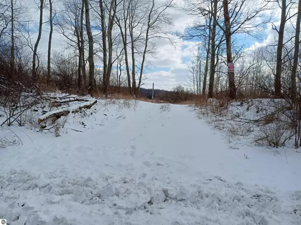 TBD Roosevelt Road, Remus, MI 49340