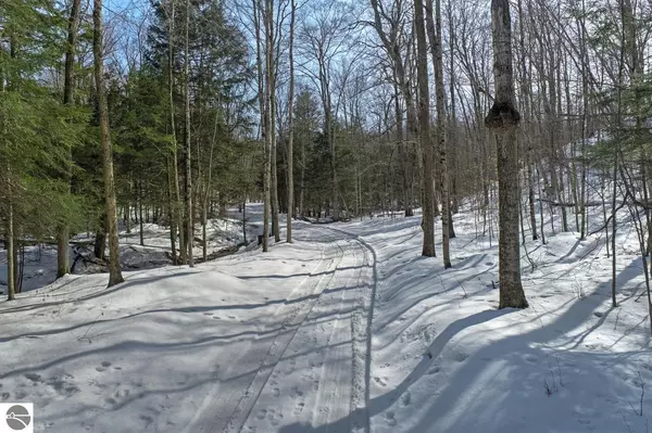 S Bow Road, Maple City, MI 49664