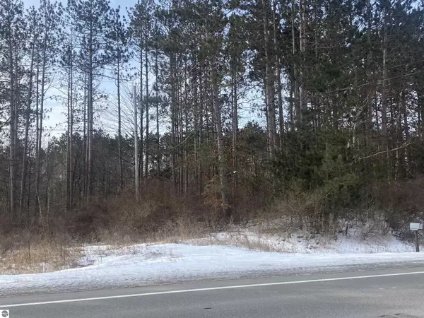 Remus, MI 49340,TBD W Remus Road