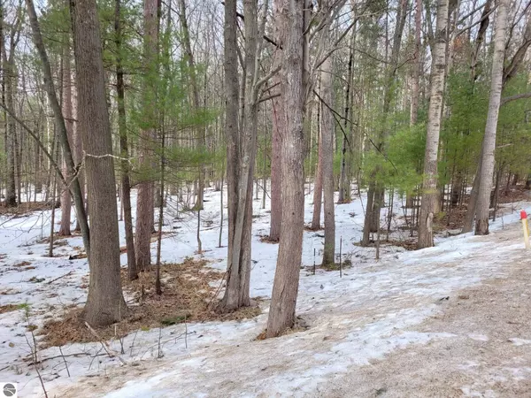 Honor, MI 49640,000 Deadstream Road