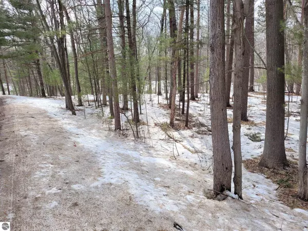 Honor, MI 49640,000 Deadstream Road