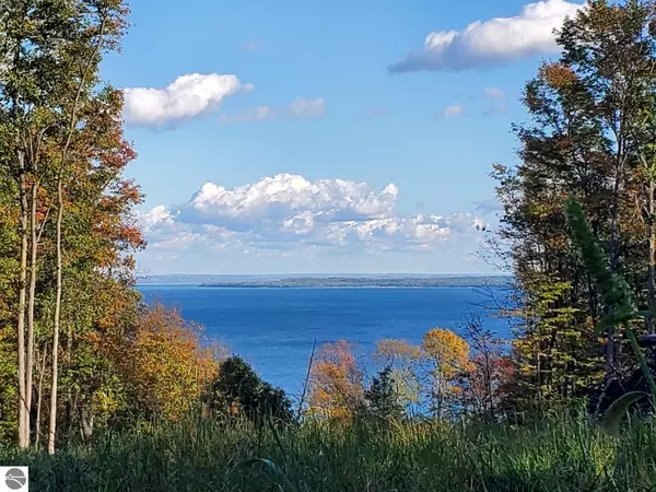 Suttons Bay, MI 49682,11635 E Belanger Woods Drive