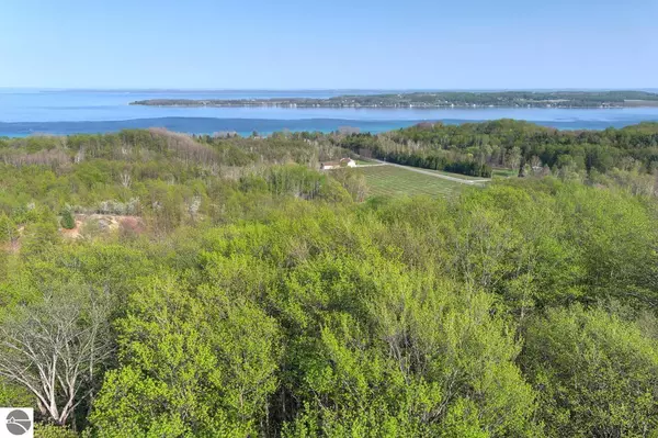 Suttons Bay, MI 49682,0 N Dumas Road