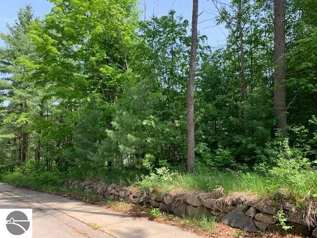 Lot 20 Deer Run Court, Boyne City, MI 49712