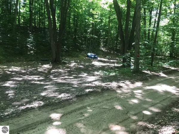 5 acres Hooker Road, Honor, MI 49640