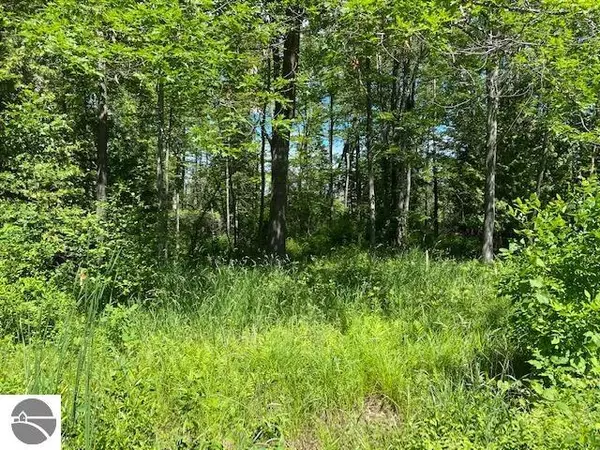 Elk Rapids, MI 49629,000 Partridge Trail