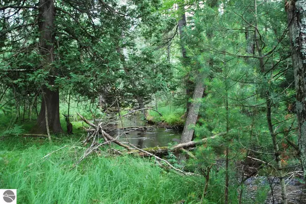 National City, MI 48748,0 Trout Road