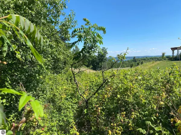N Our Majestic Trail, Suttons Bay, MI 49682