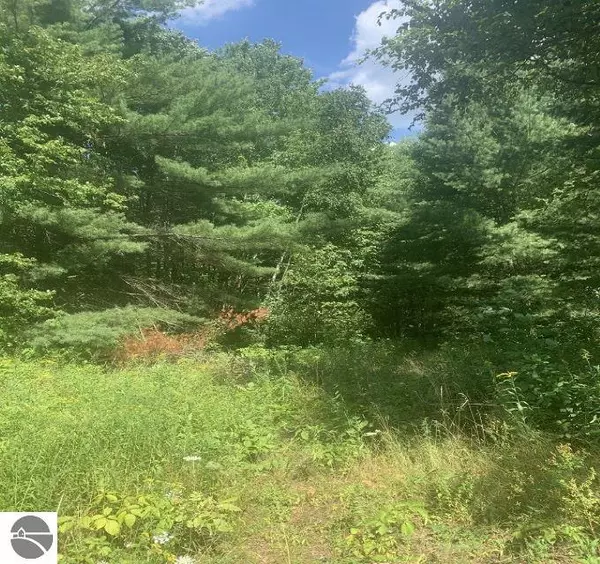 Lupton, MI 48635,0 Bass Lake Road Lot 4, Bass Lake Road