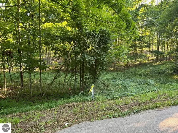 00 V/L Potter Road, Bear Lake, MI 49614