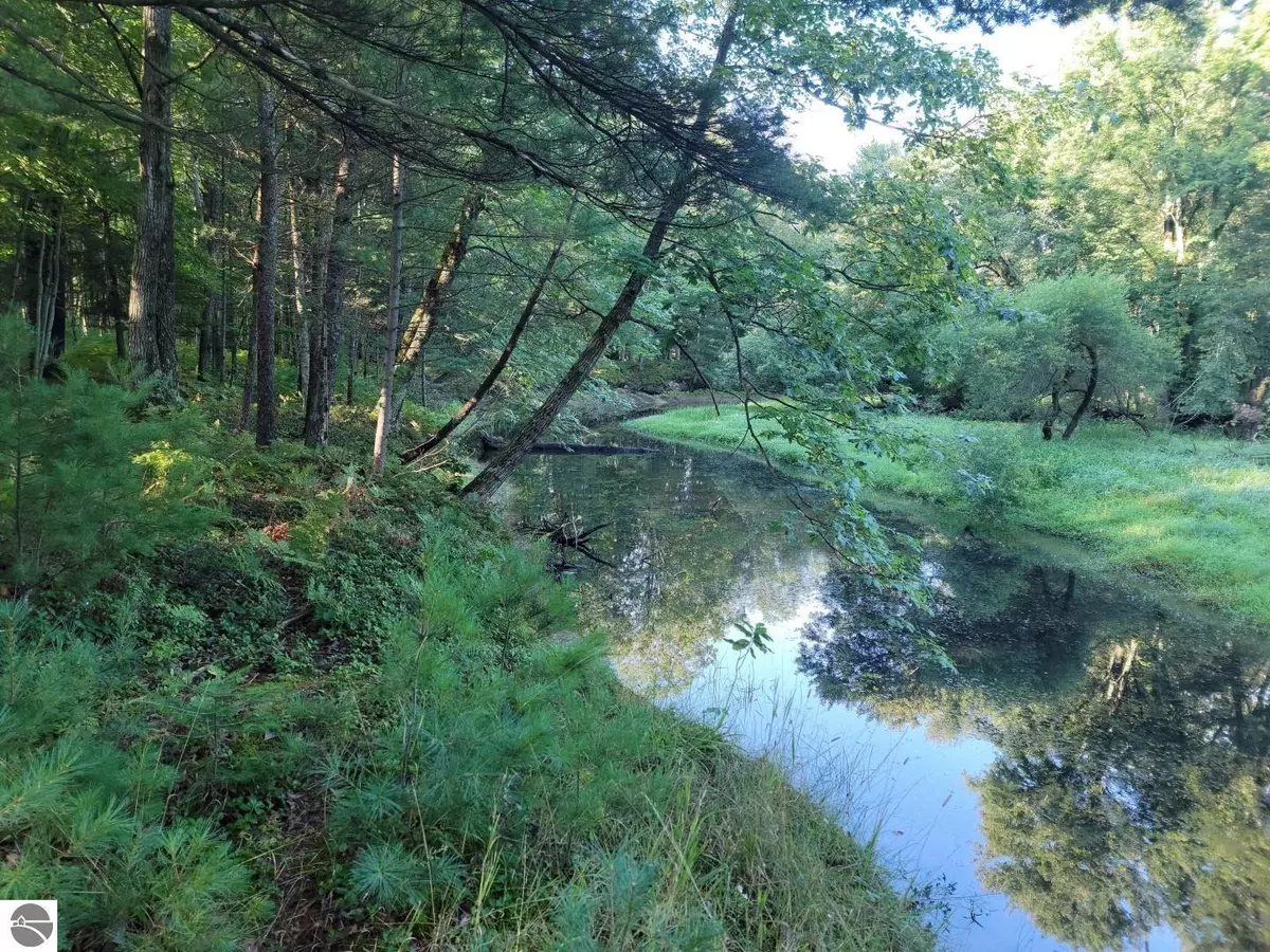 Merritt, MI 49667,XXX Jeffs Road