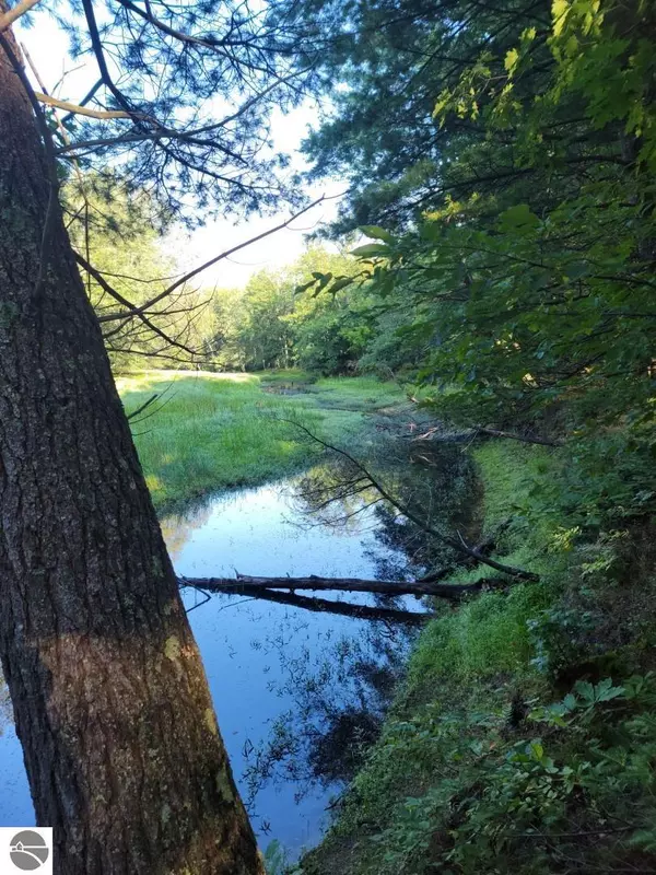 Merritt, MI 49667,XXX Jeffs Road