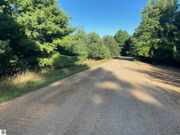 Evart, MI 49631,Allegheny Trail