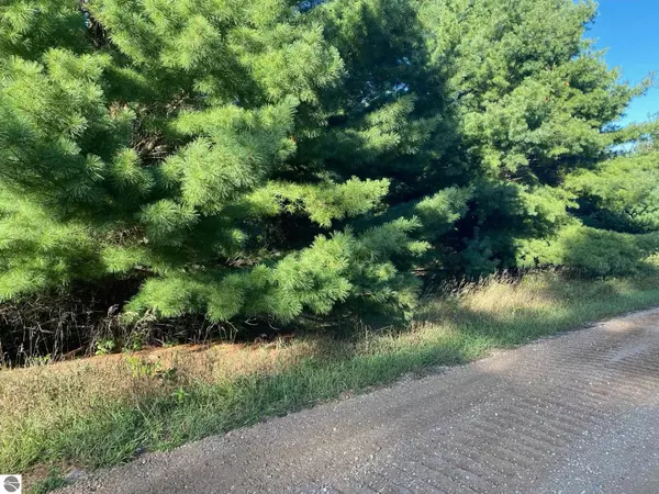 Evart, MI 49631,Allegheny Trail