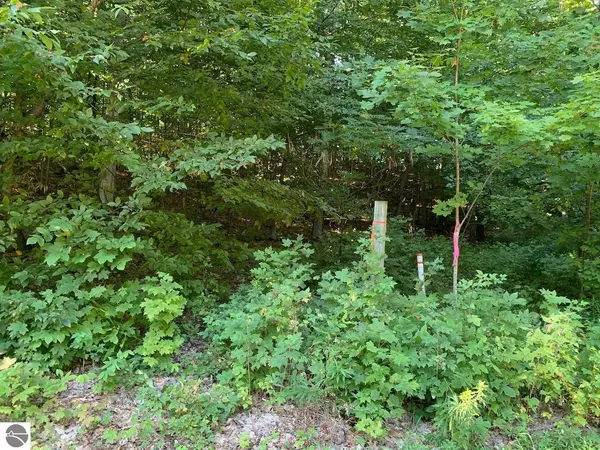 Suttons Bay, MI 49682,9858 E Keswick Hills