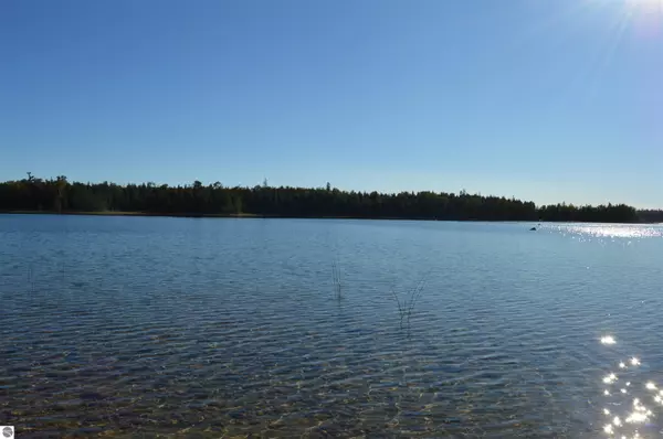 Cedarville, MI 49719,XXX S Coryell Island