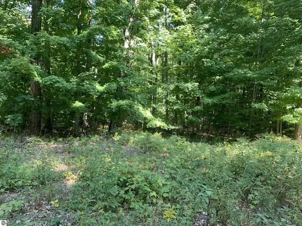 Bear Lake, MI 49614,VL Parcel B Norconk Road