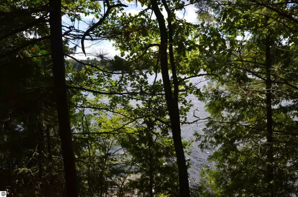 Alpena, MI 49707,XXX River Bluffs Drive