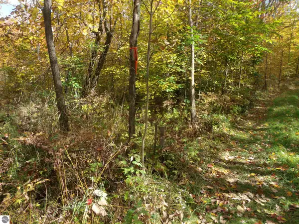 0 Shepard Trail, St Helen, MI 48656