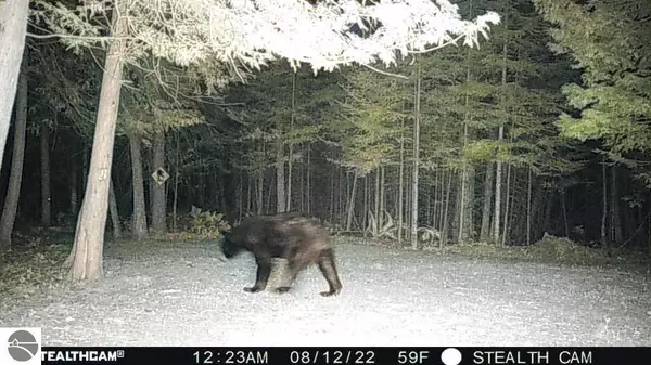 Lupton, MI 48635,N/A Heath Road